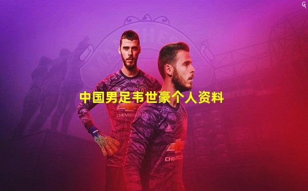 中国男足韦世豪个人资料