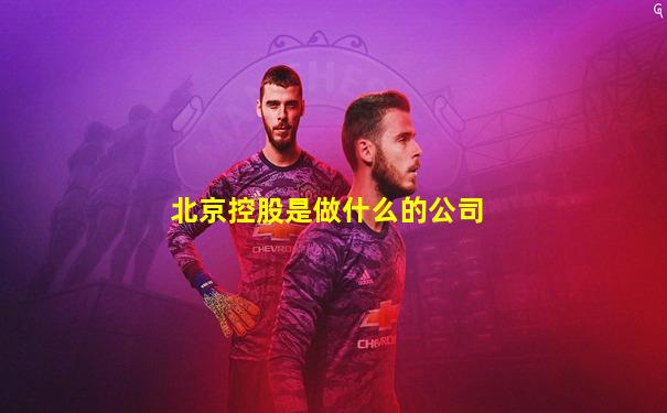北京控股是做什么的公司