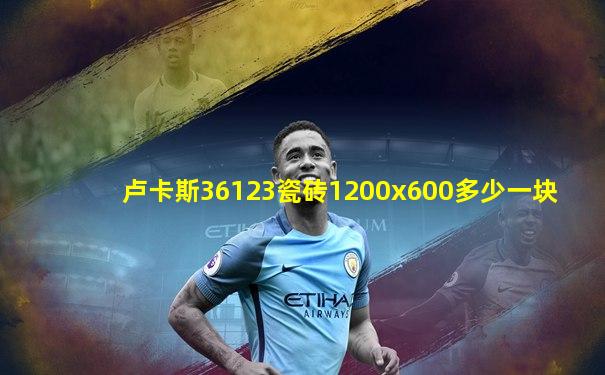 卢卡斯36123瓷砖1200x600多少一块