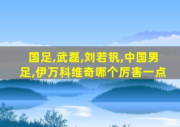 国足,武磊,刘若钒,中国男足,伊万科维奇哪个厉害一点
