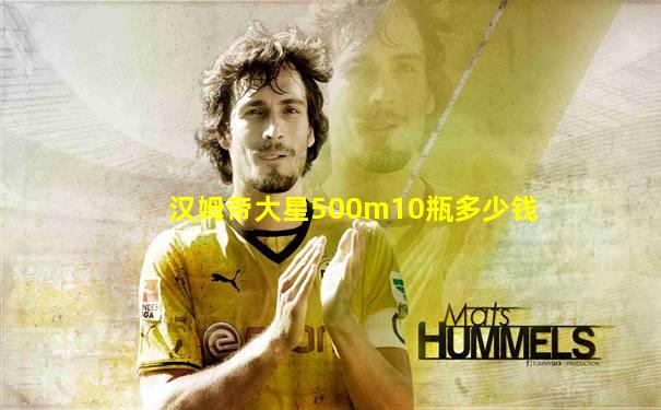 汉姆帝大星500m10瓶多少钱