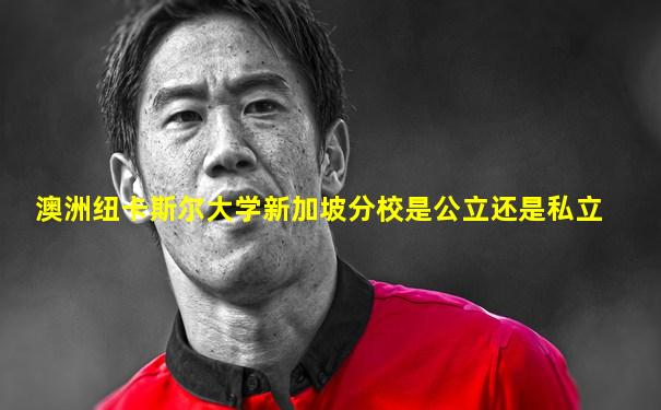 澳洲纽卡斯尔大学新加坡分校是公立还是私立