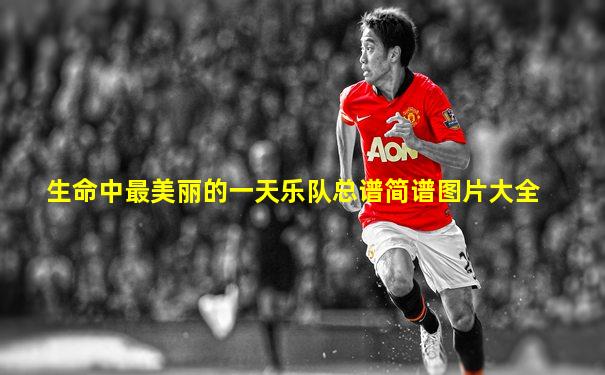 生命中最美丽的一天乐队总谱简谱图片大全