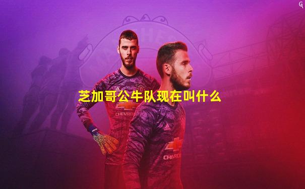 芝加哥公牛队现在叫什么