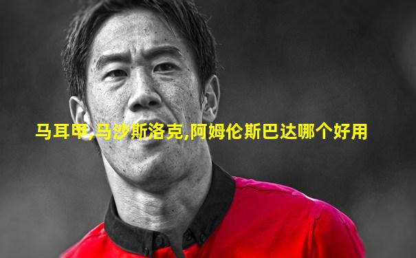 马耳甲,马沙斯洛克,阿姆伦斯巴达哪个好用