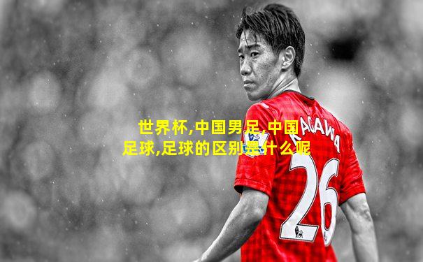 世界杯,中国男足,中国足球,足球的区别是什么呢