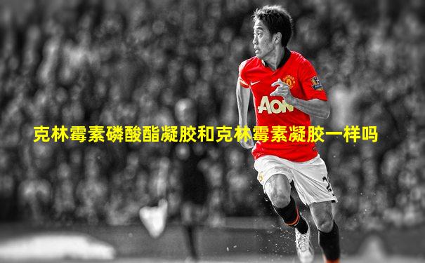 克林霉素磷酸酯凝胶和克林霉素凝胶一样吗