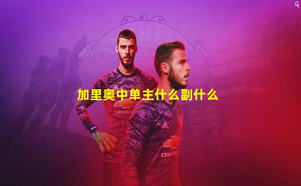 加里奥中单主什么副什么