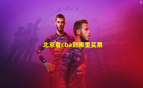 北京看cba到哪里买票