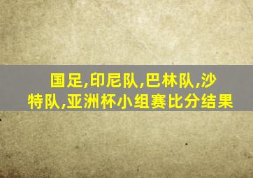 国足,印尼队,巴林队,沙特队,亚洲杯小组赛比分结果
