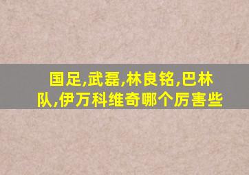 国足,武磊,林良铭,巴林队,伊万科维奇哪个厉害些