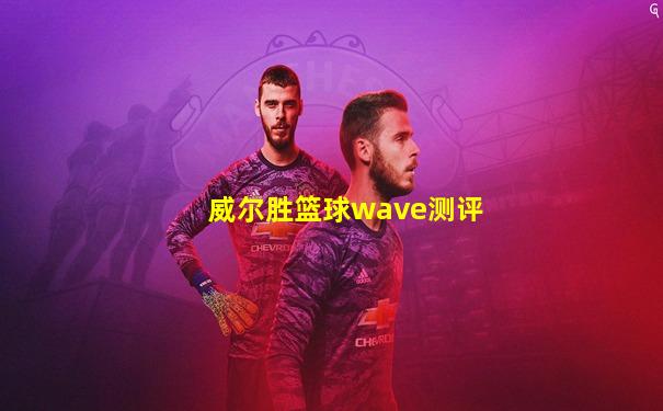 威尔胜篮球wave测评