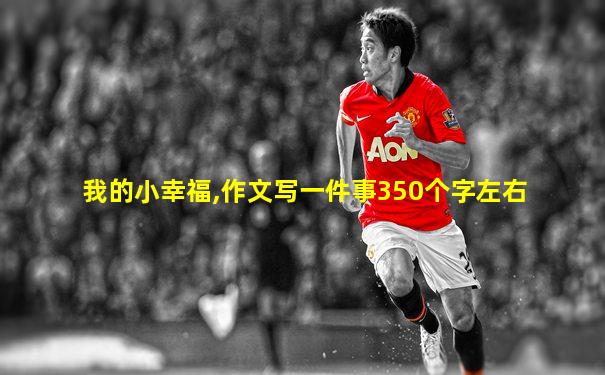 我的小幸福,作文写一件事350个字左右