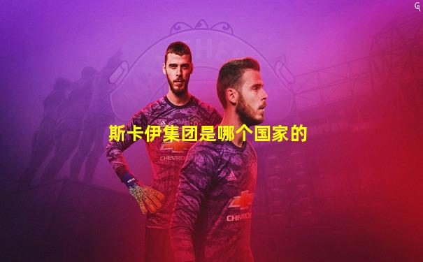 斯卡伊集团是哪个国家的
