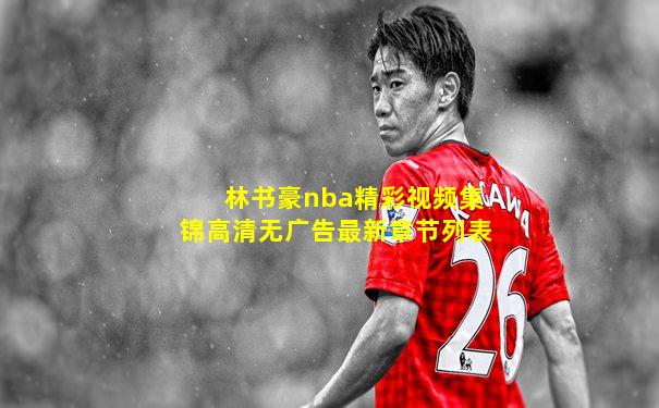 林书豪nba精彩视频集锦高清无广告最新章节列表