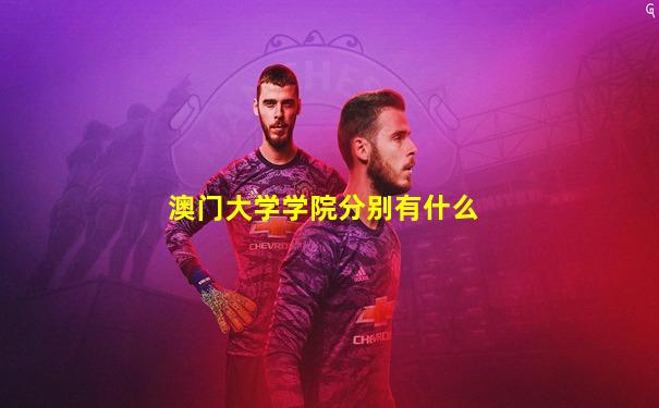 澳门大学学院分别有什么