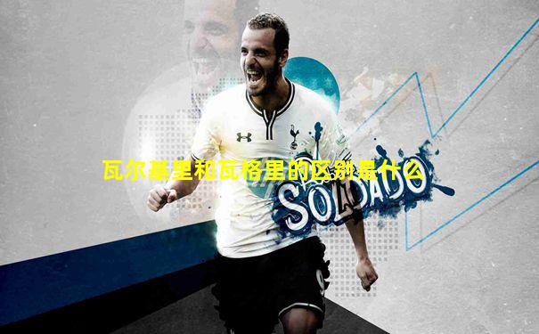 瓦尔基里和瓦格里的区别是什么