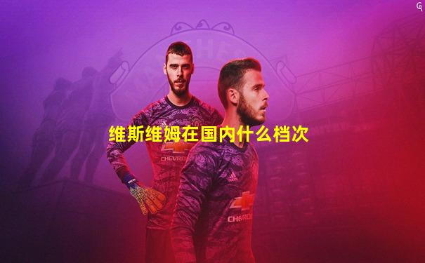 维斯维姆在国内什么档次