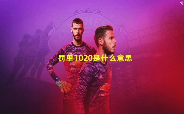 罚单1020是什么意思
