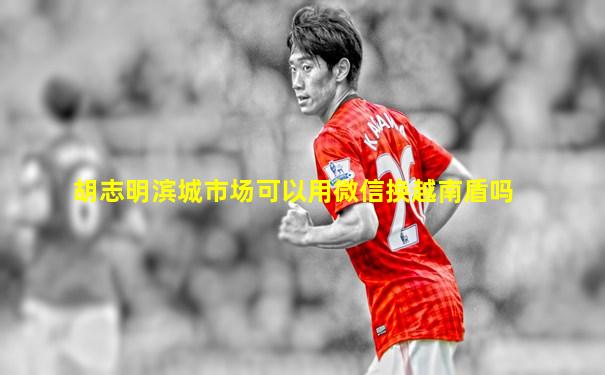 胡志明滨城市场可以用微信换越南盾吗