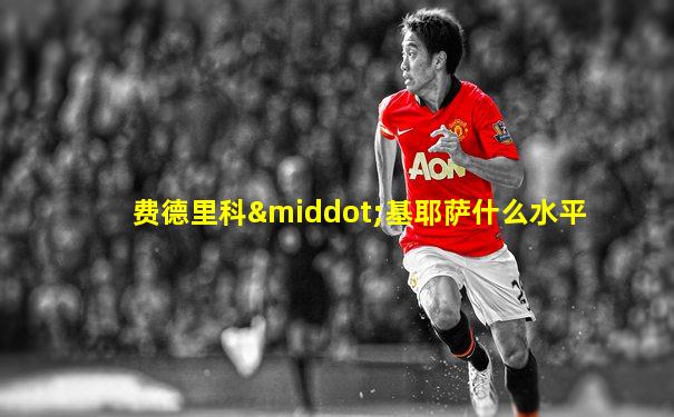 费德里科·基耶萨什么水平